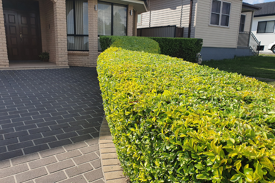 Lawn Mowing & Gardening Services 10 After