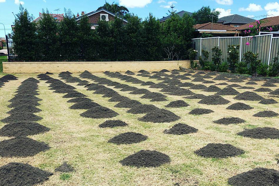 Lawn Fertilizer Image